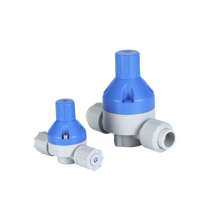 Back Pressure Valve